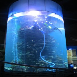 ถังอะคริลิคใสตู้ปลาขนาดใหญ่สำหรับพิพิธภัณฑ์สัตว์น้ำหรือโอเชี่ยนปาร์ค